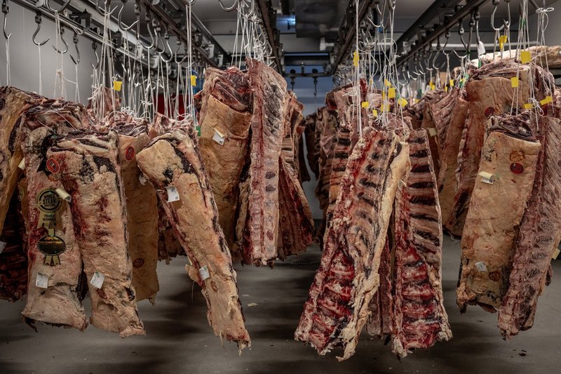 Beef casino in Germany