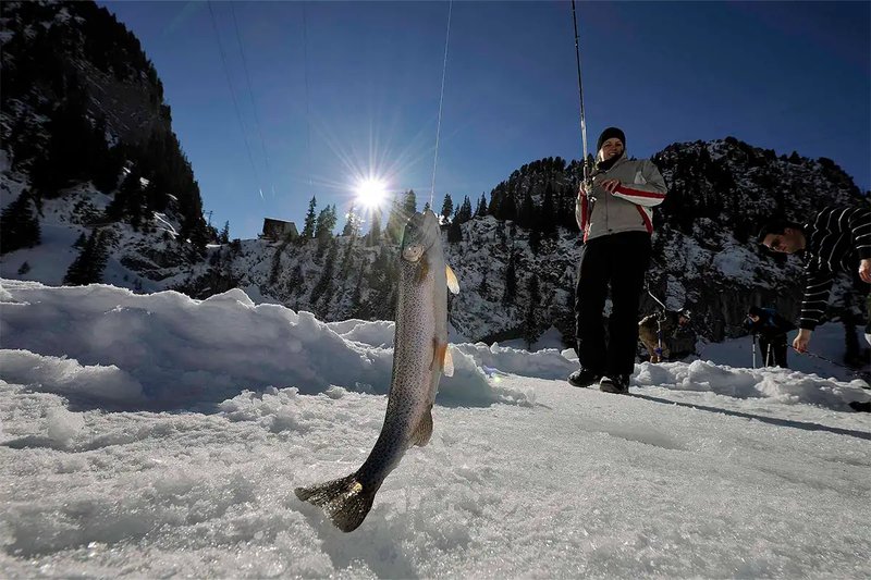 Guide to ice fishing live casino